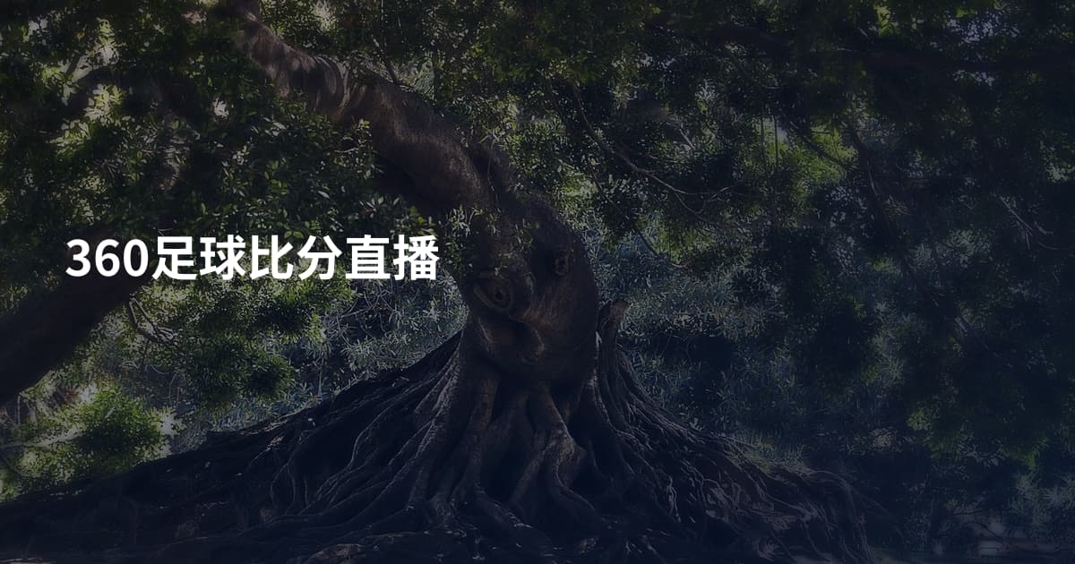 360足球比分直播