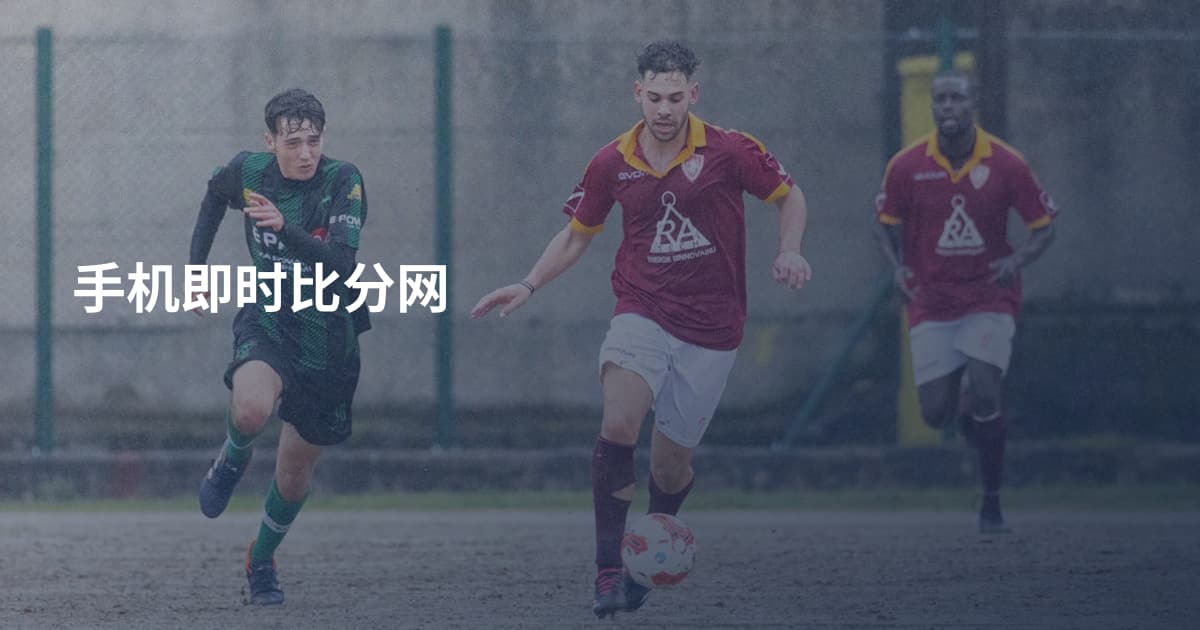 手机即时比分网