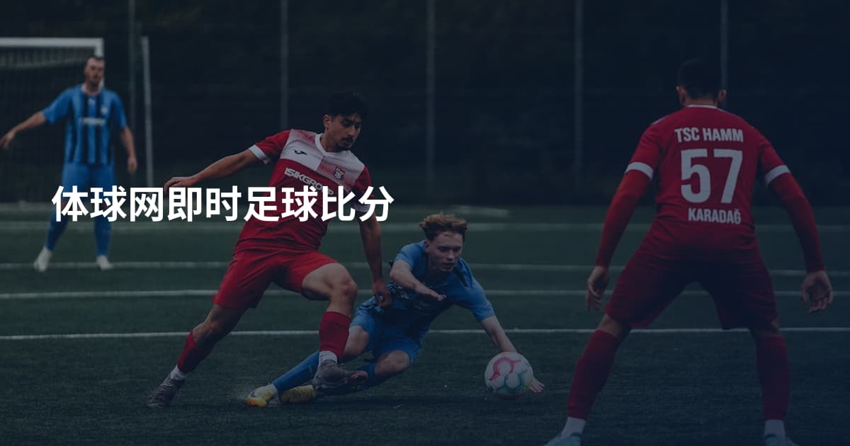 体球网即时足球比分