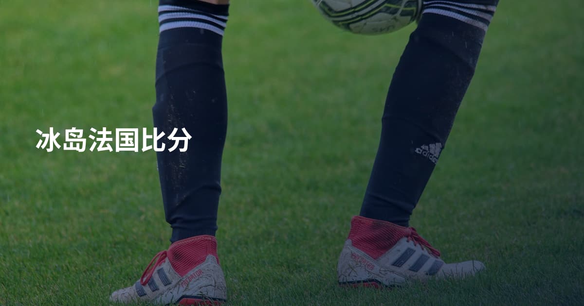 冰岛法国比分