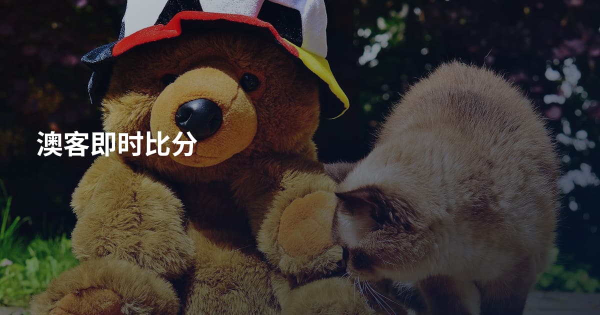 澳客即时比分