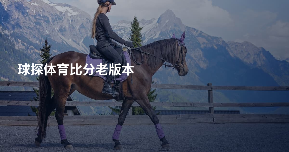 球探体育比分老版本