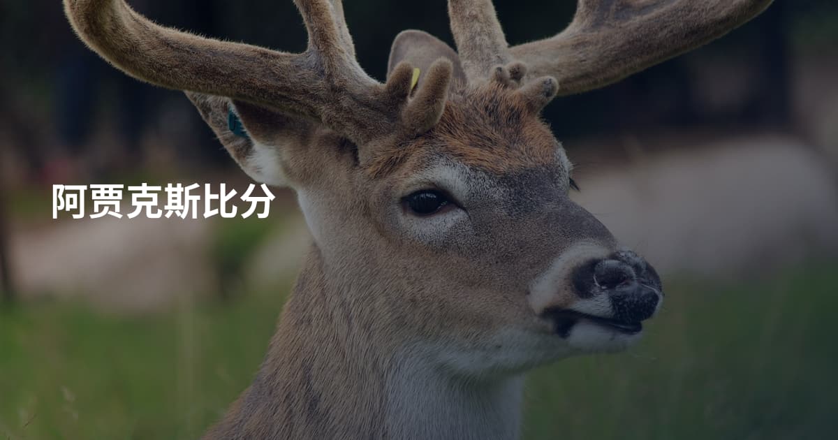 阿贾克斯比分