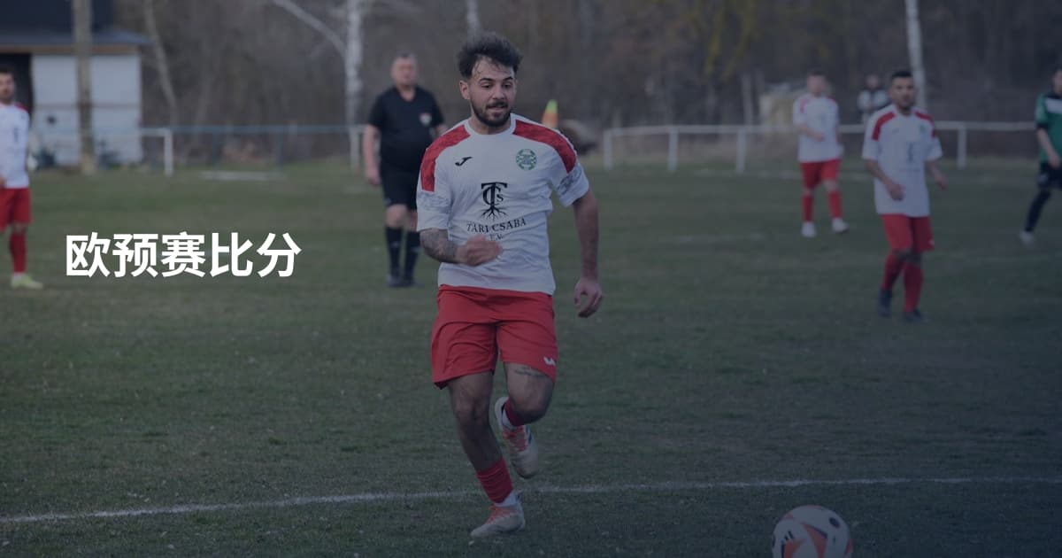 欧预赛比分
