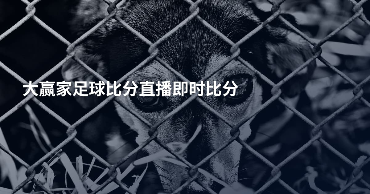 大赢家足球比分直播即时比分