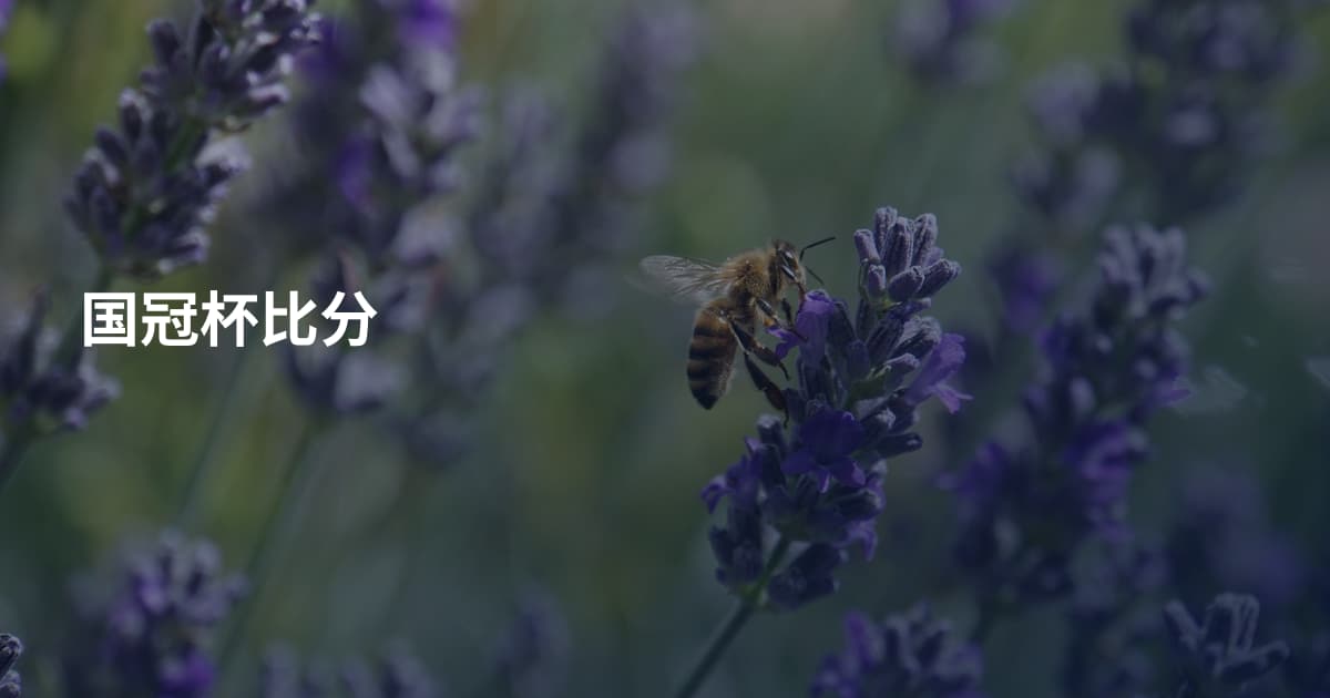 国冠杯比分