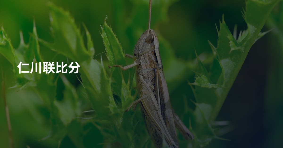 仁川联比分