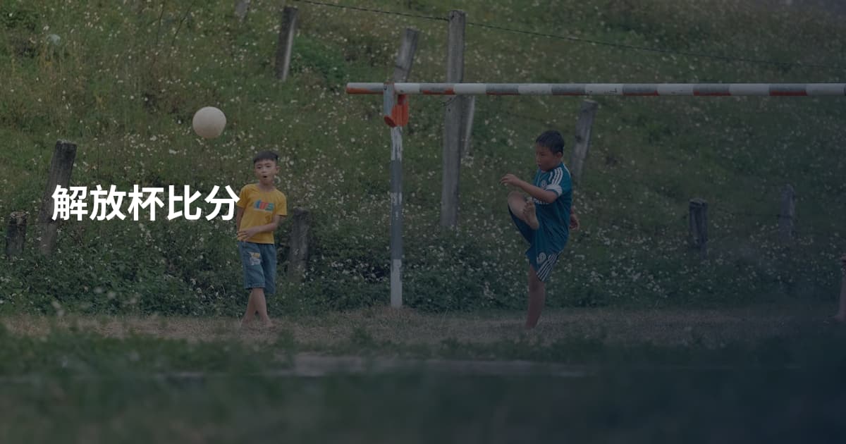 解放杯比分