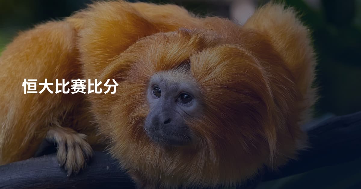 恒大比赛比分