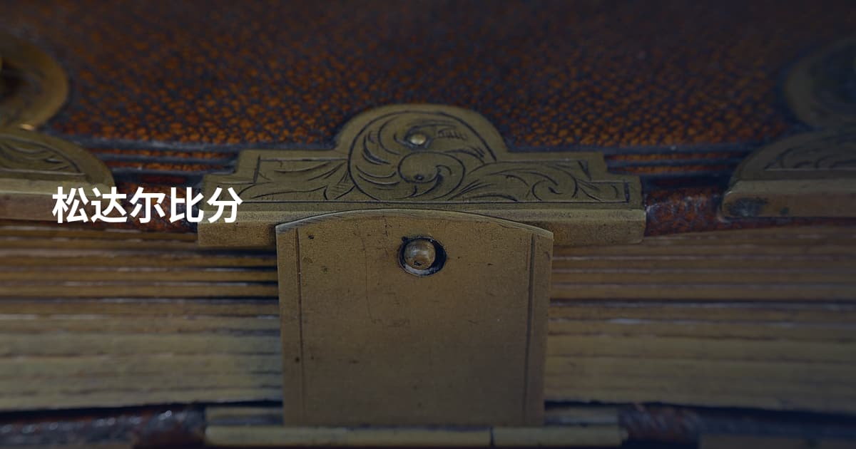 松达尔比分