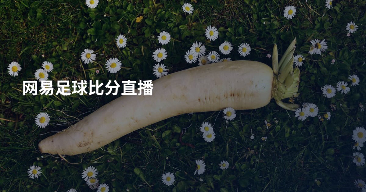 网易足球比分直播
