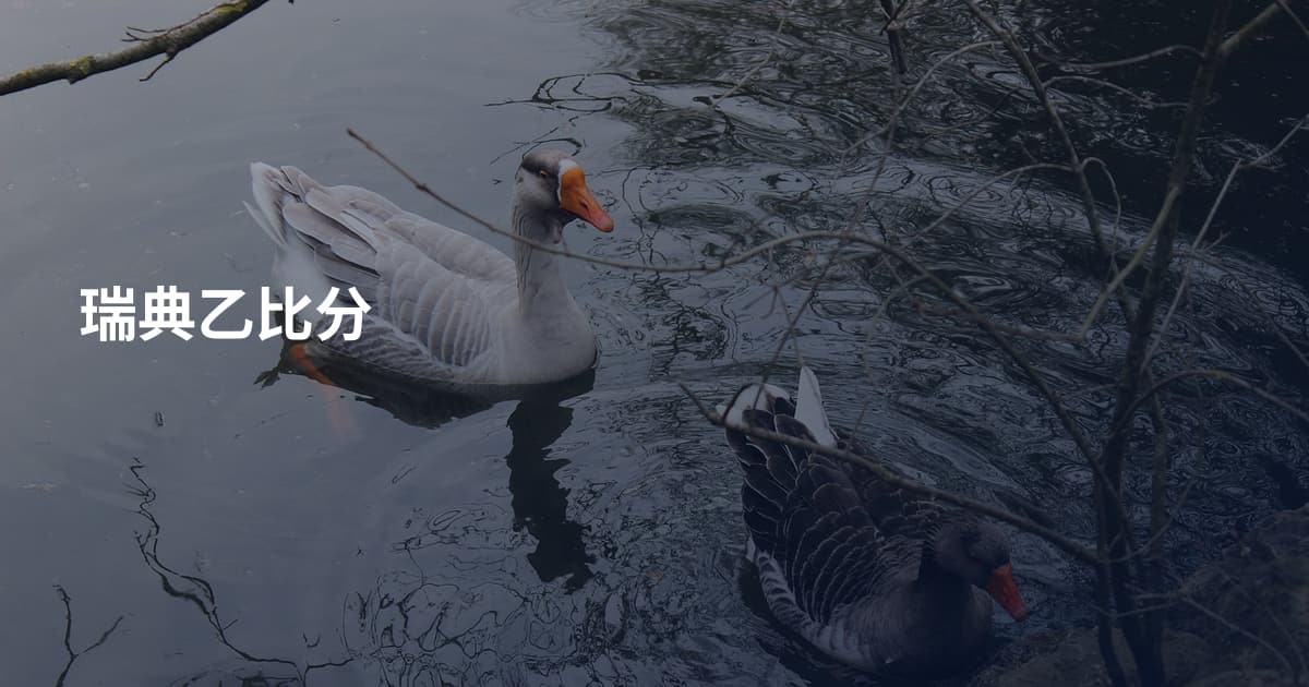 瑞典乙比分