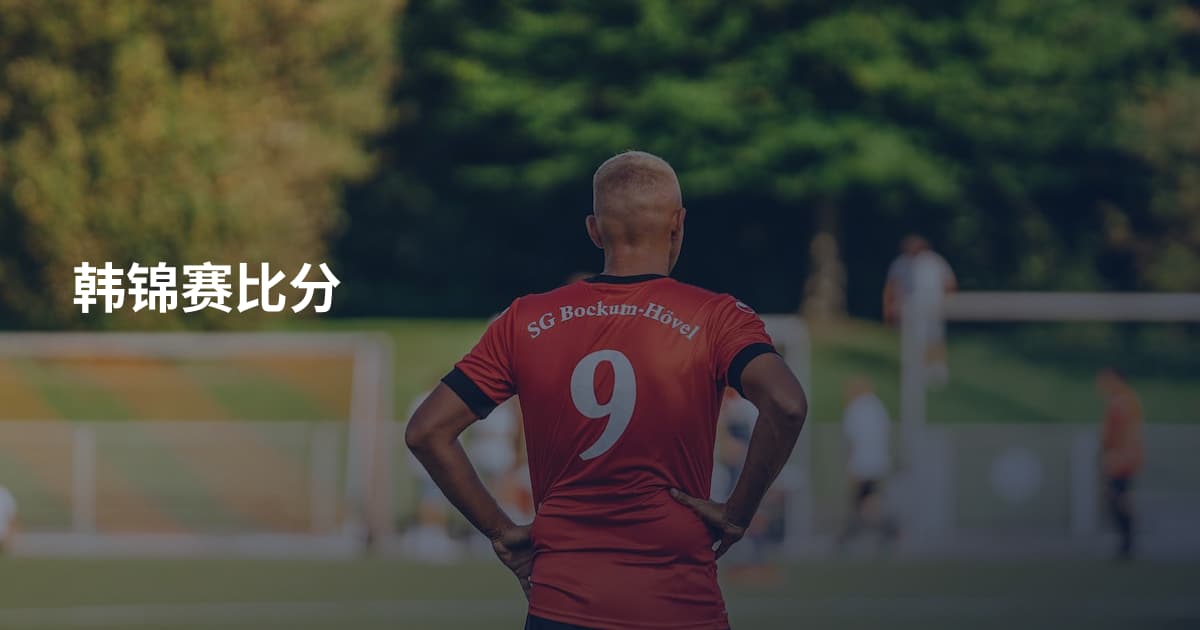 韩锦赛比分