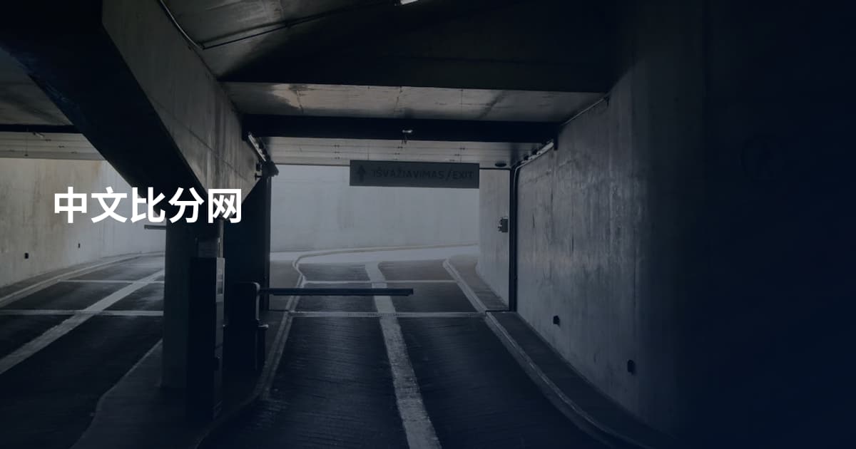 中文比分网
