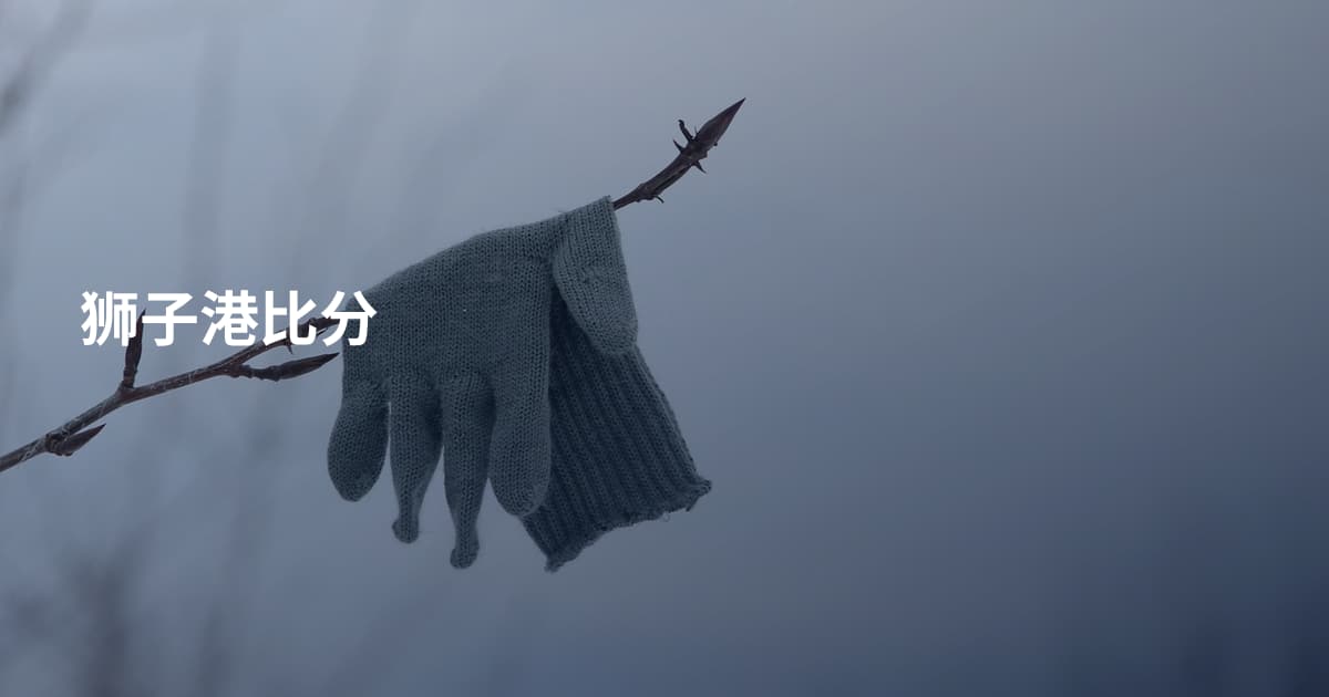 狮子港比分