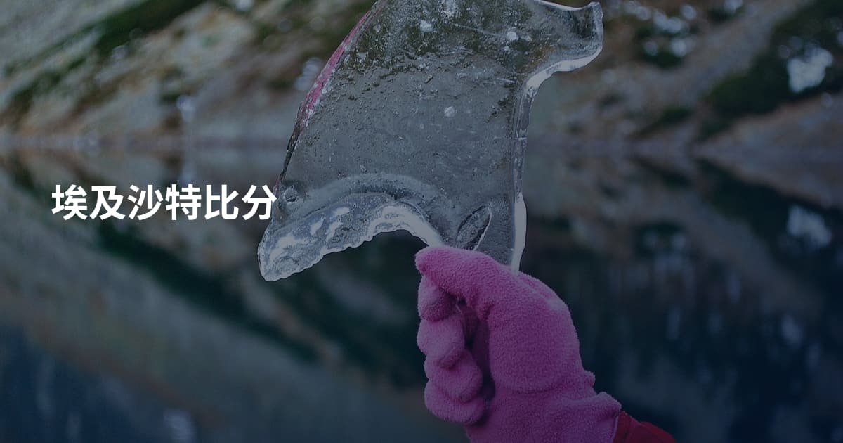 埃及沙特比分