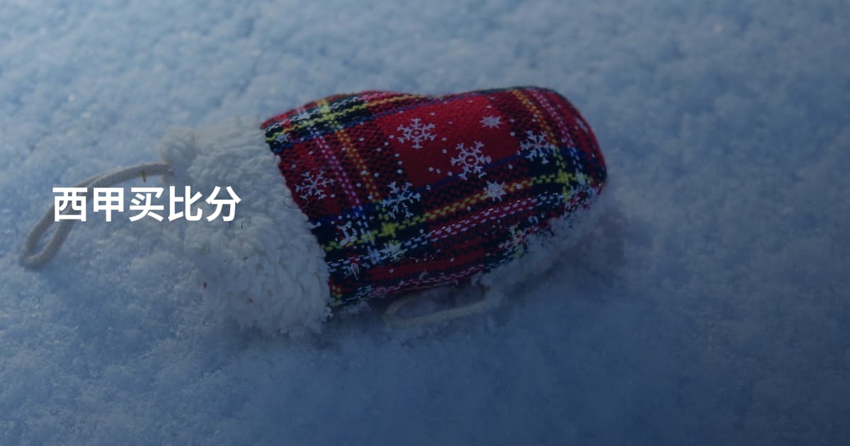 西甲买比分
