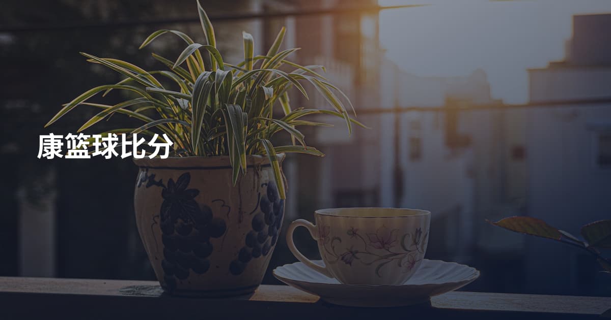 康篮球比分
