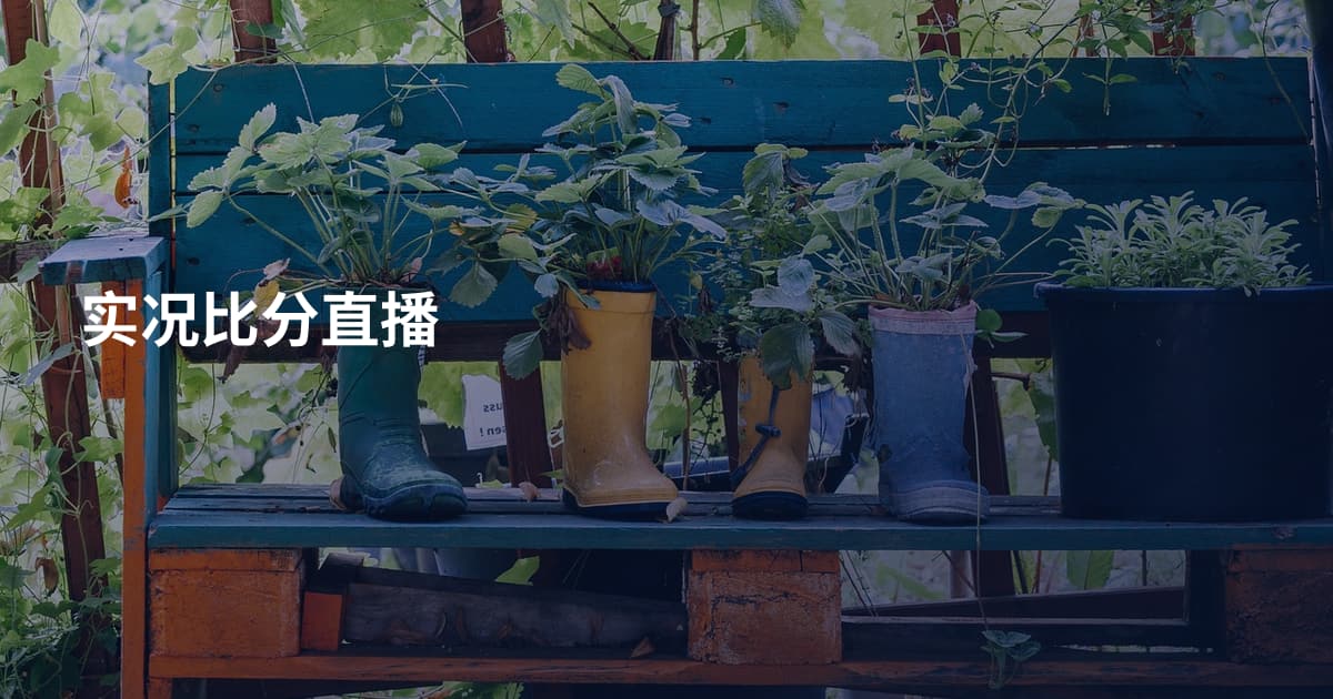 实况比分直播