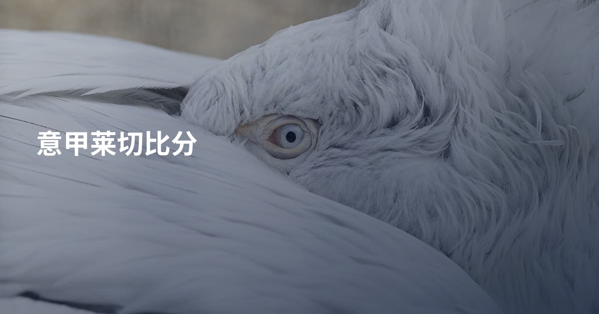 意甲莱切比分
