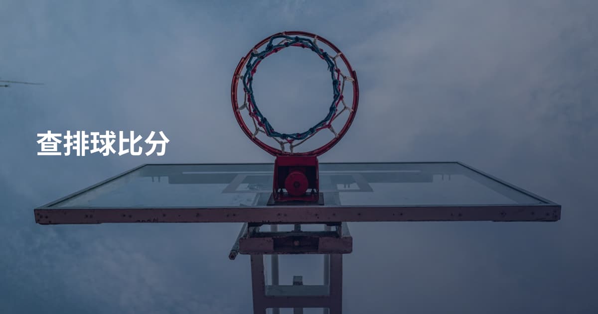 查排球比分