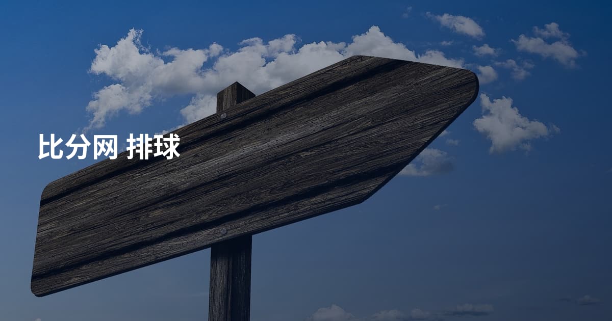 比分网 排球