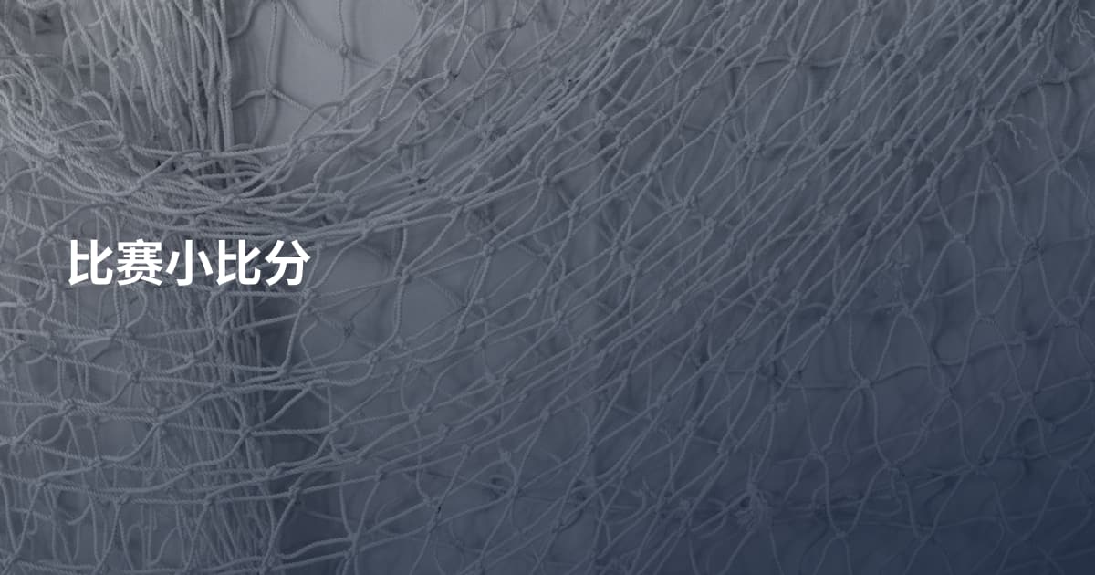 比赛小比分