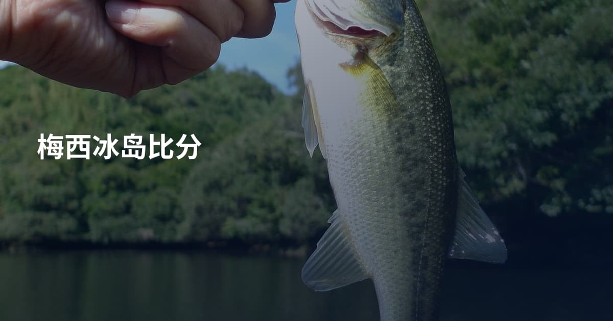梅西冰岛比分