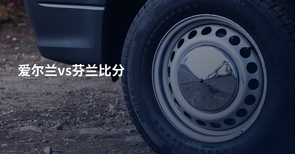爱尔兰vs芬兰比分