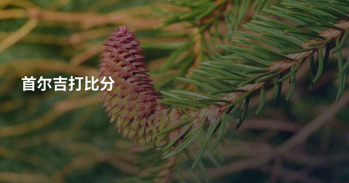 首尔吉打比分