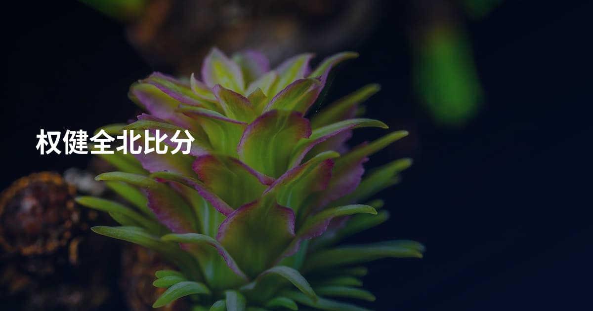 权健全北比分