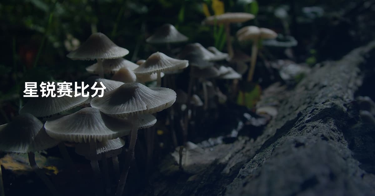 星锐赛比分