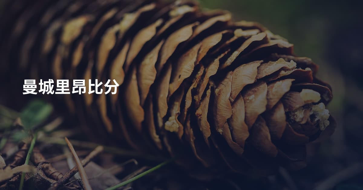 曼城里昂比分