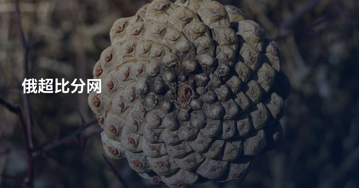 俄超比分网