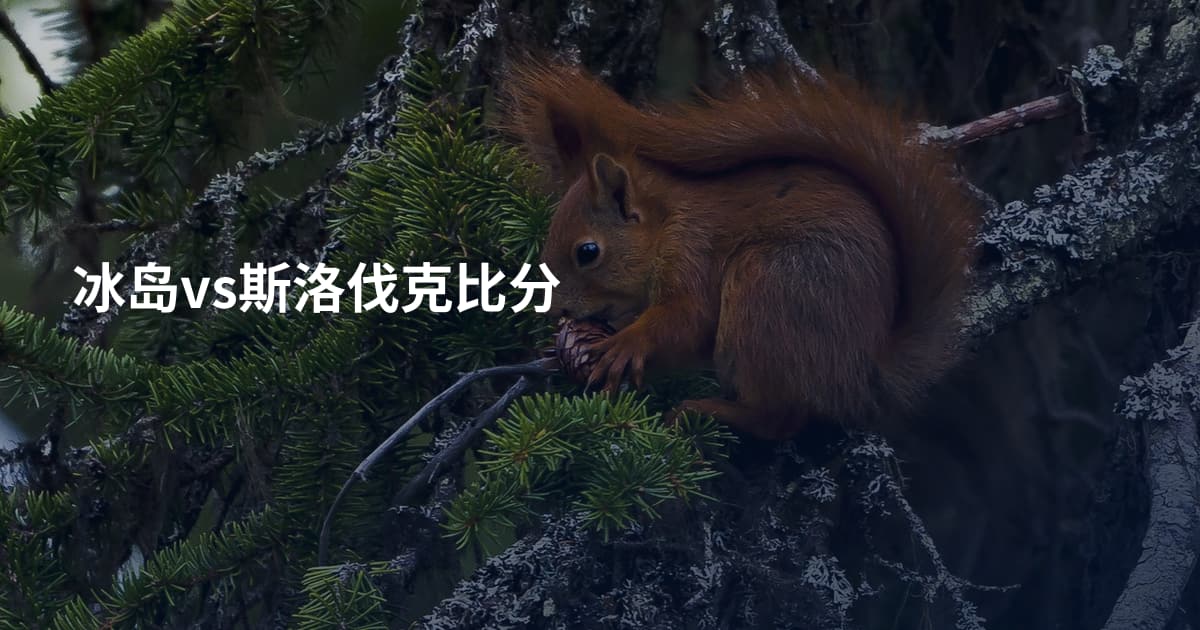 冰岛vs斯洛伐克比分
