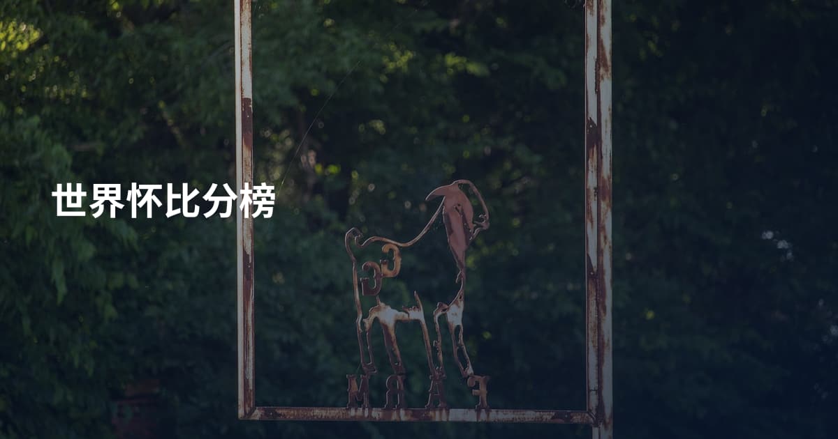 世界怀比分榜