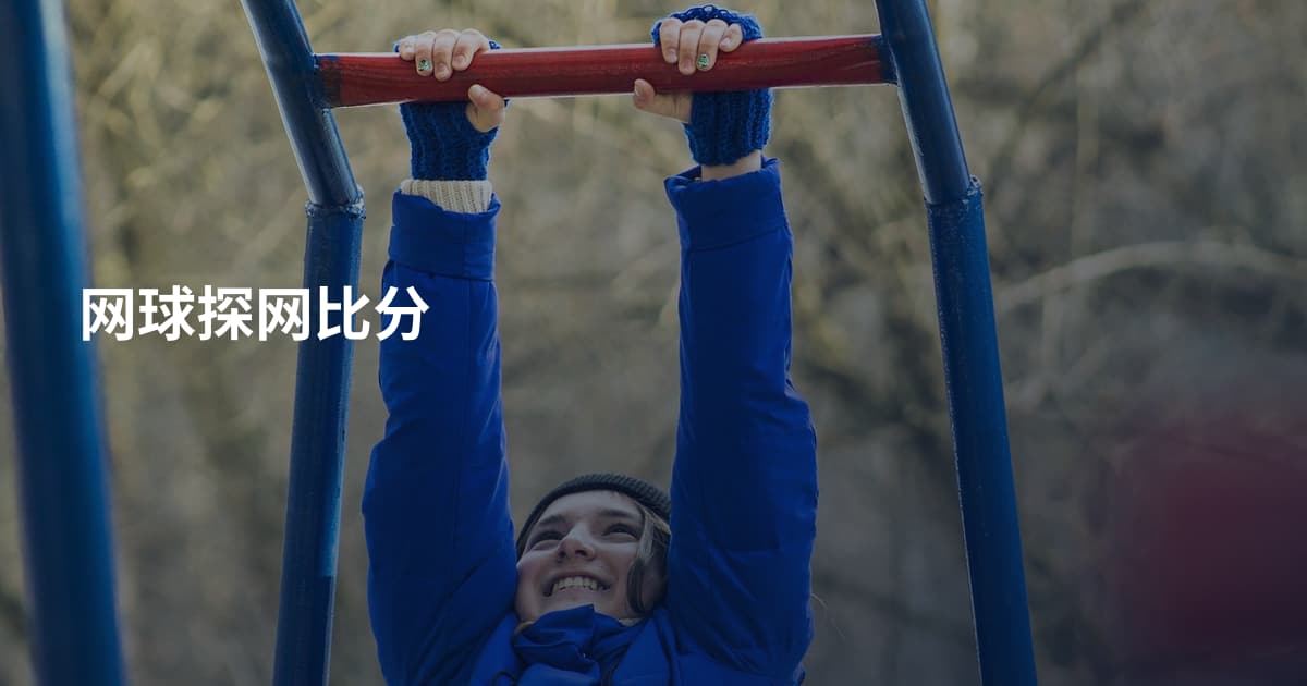 网球探网比分