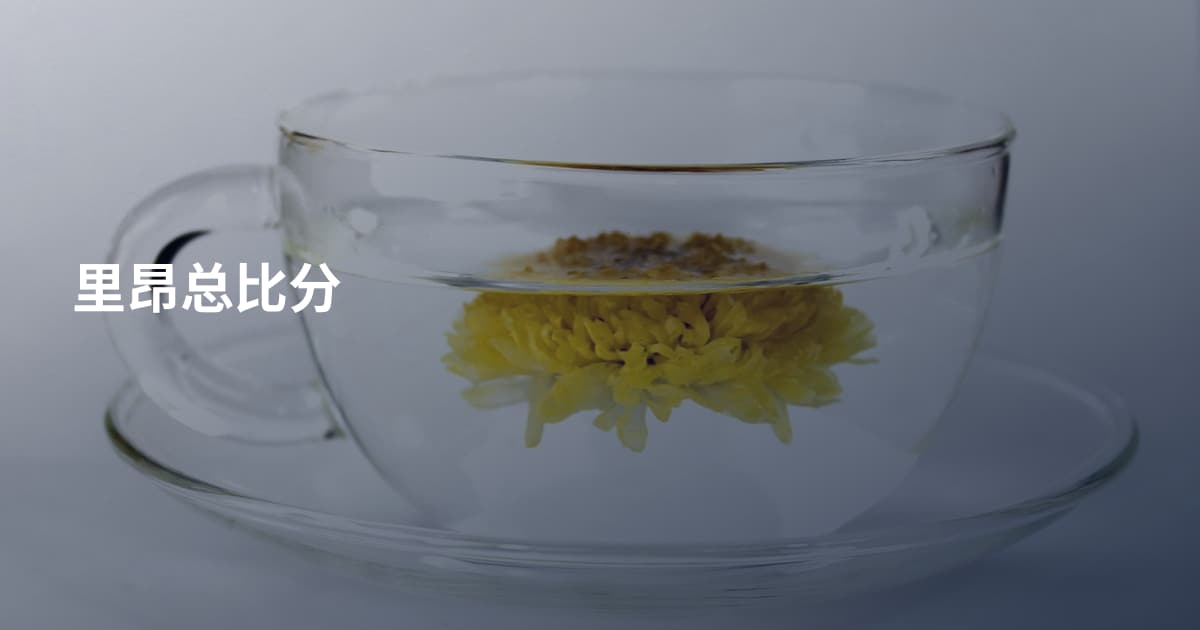 里昂总比分