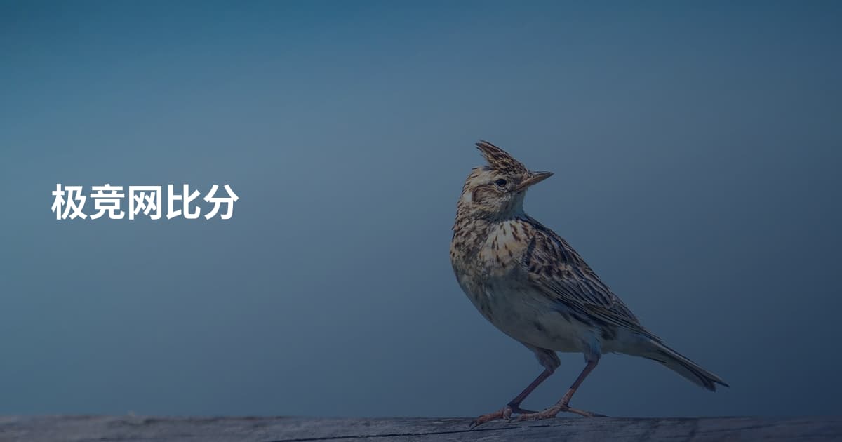 极竞网比分