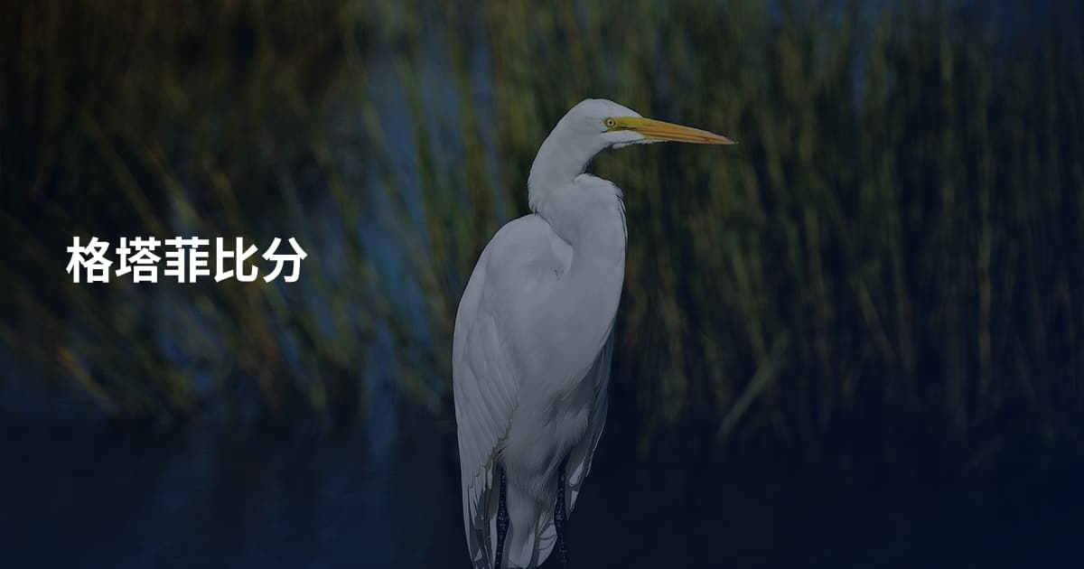 格塔菲比分
