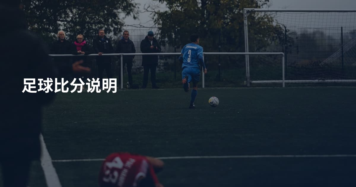 足球比分说明