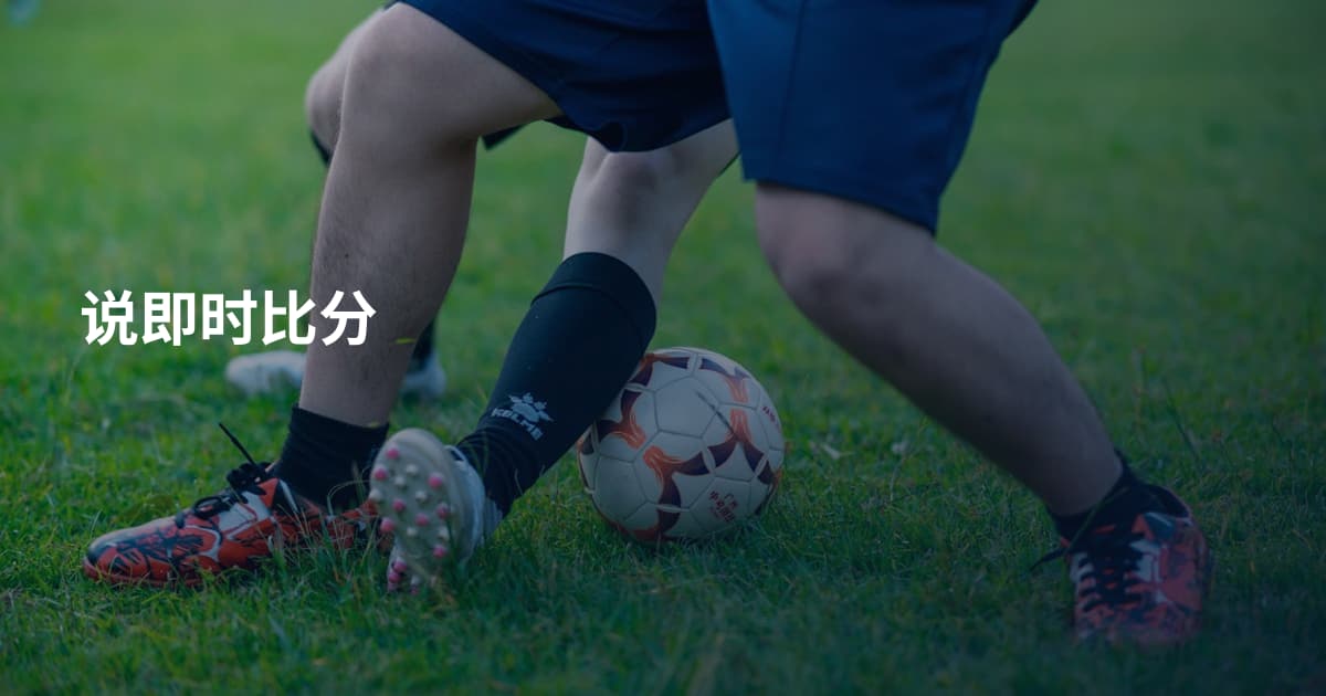 说即时比分
