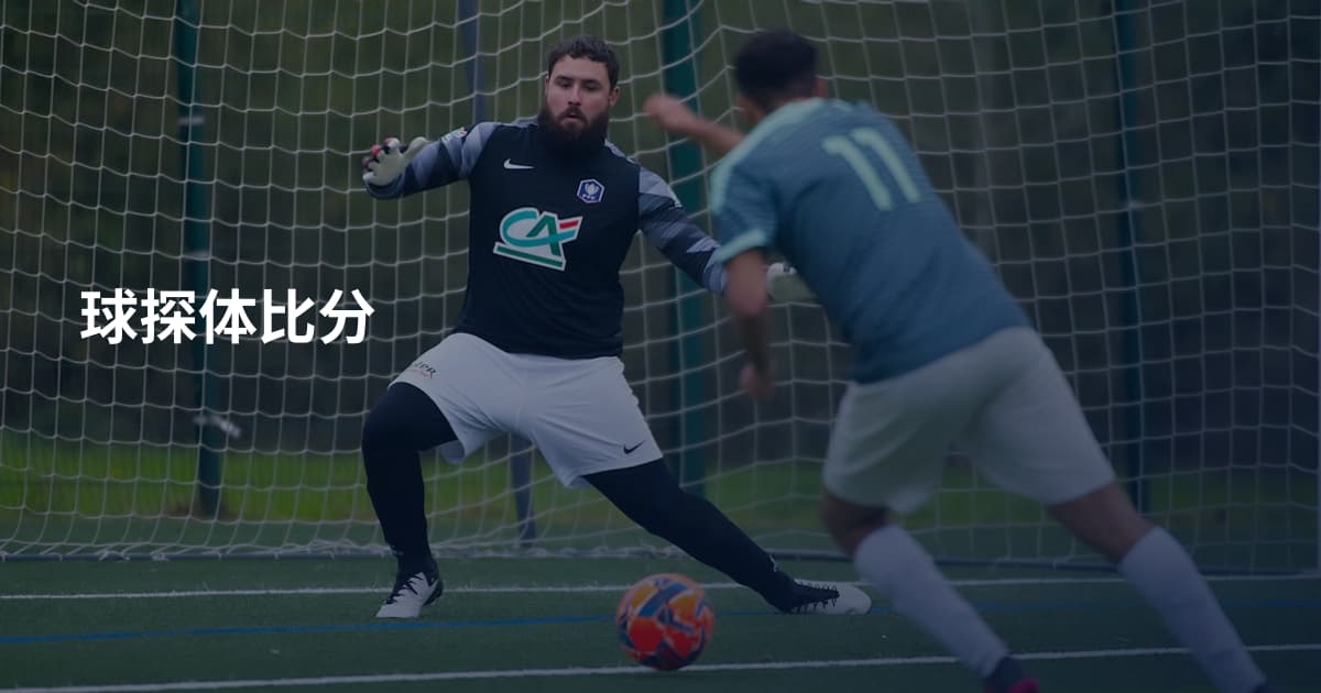 球探体比分