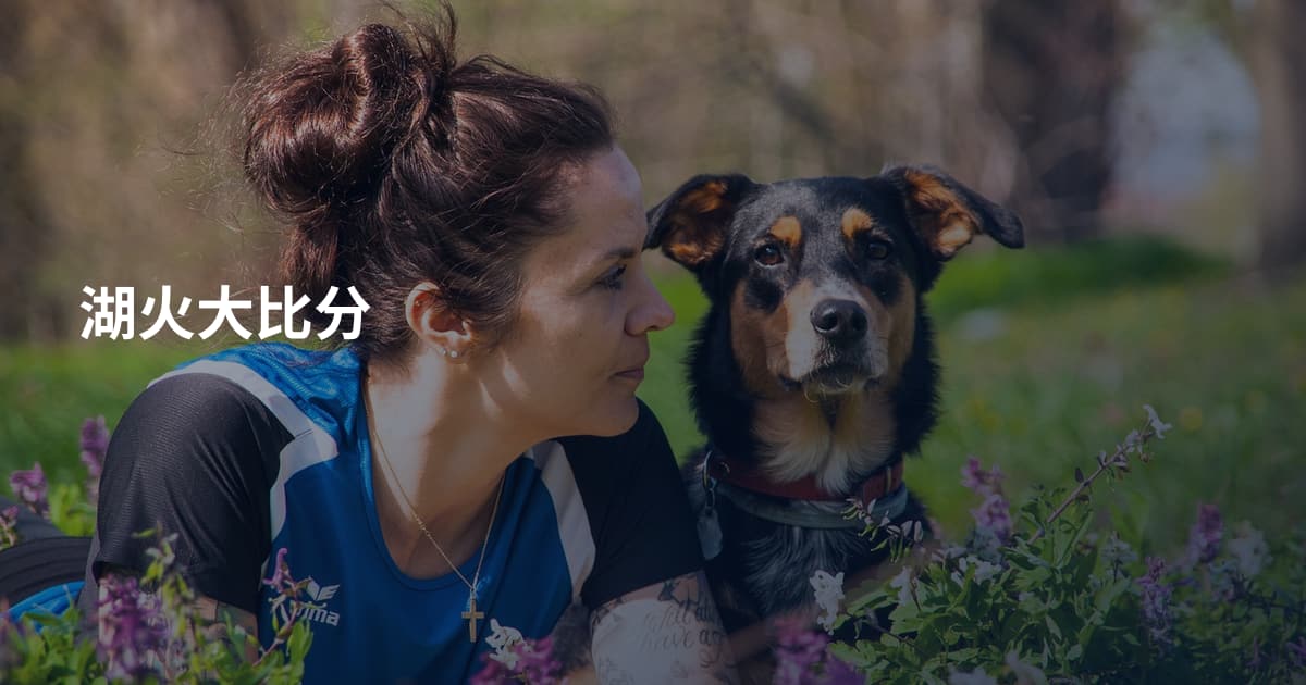 湖火大比分