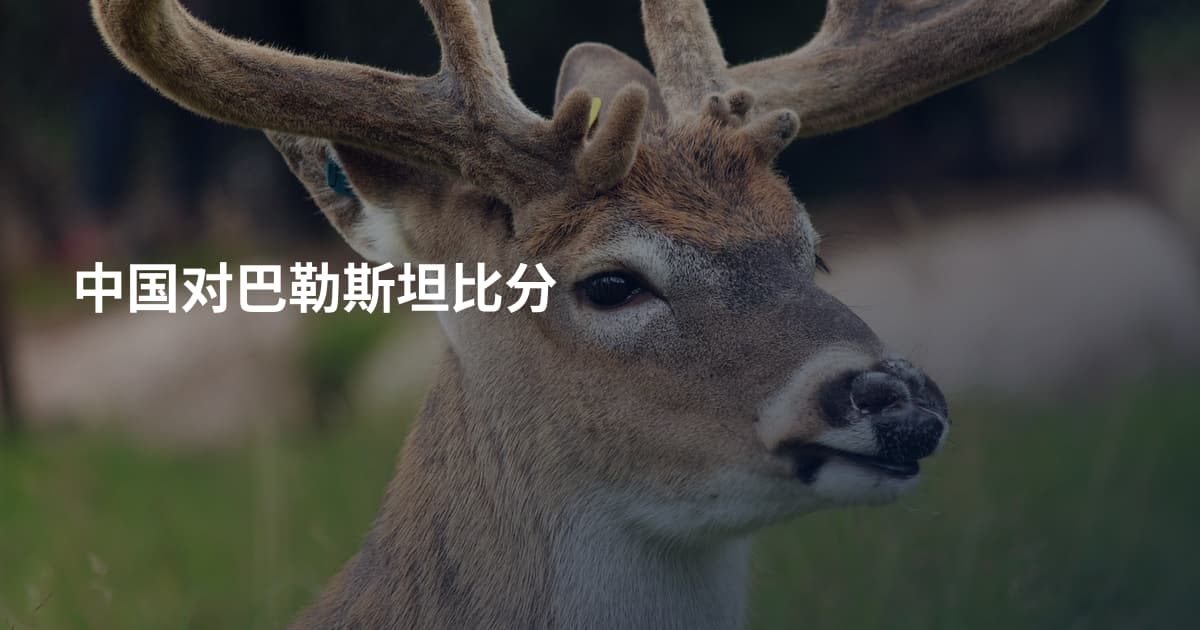 中国对巴勒斯坦比分