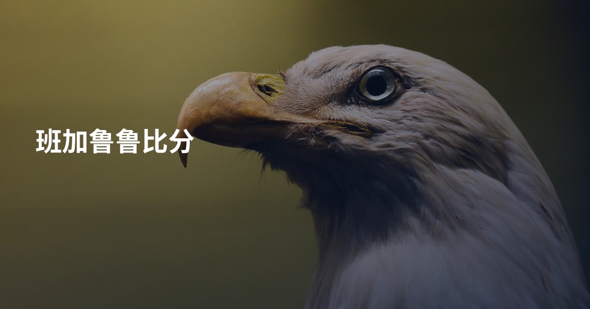 班加鲁鲁比分
