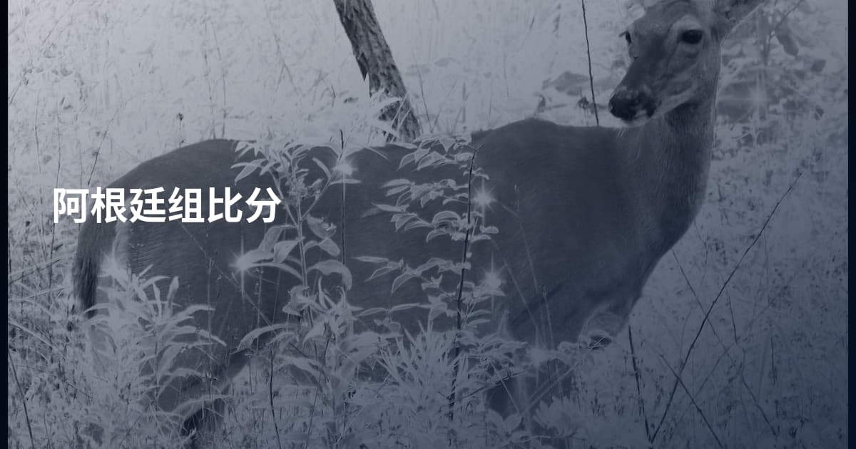 阿根廷组比分