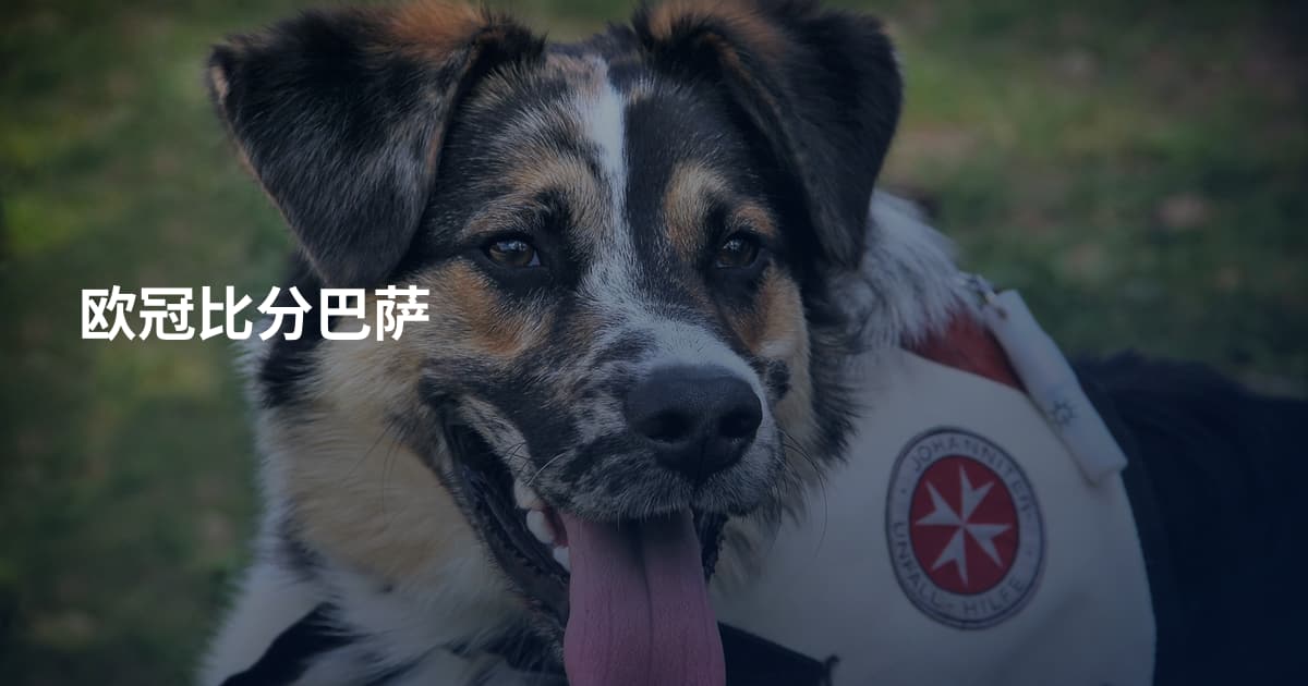 欧冠比分巴萨