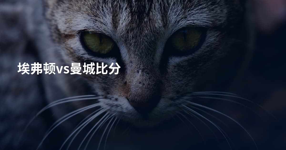 埃弗顿vs曼城比分