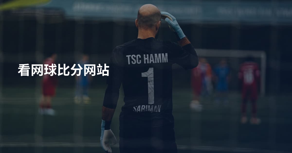 看网球比分网站